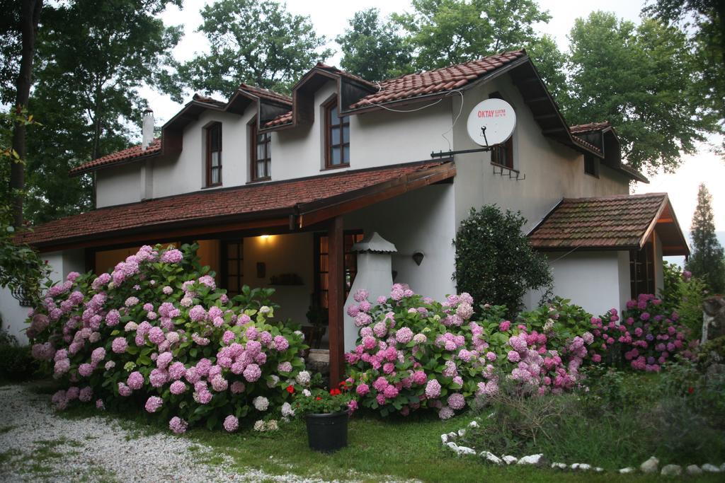 Beta Home Sapanca Pokoj fotografie