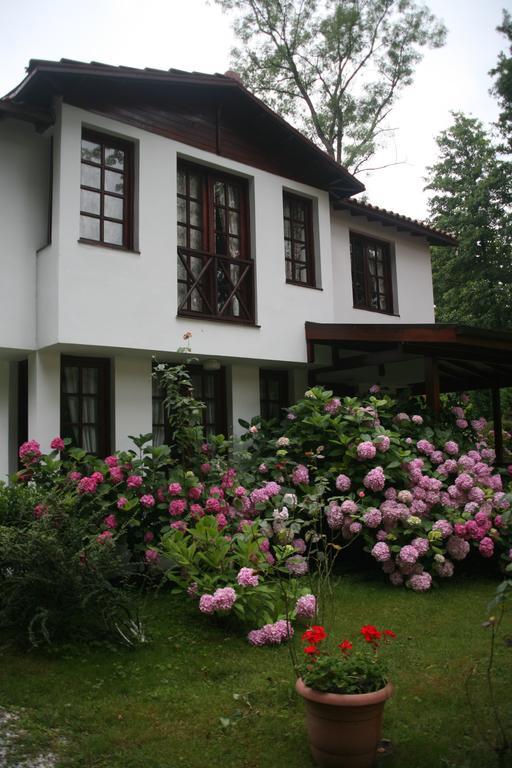Beta Home Sapanca Pokoj fotografie